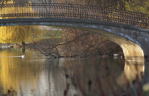 bridge autumn sun fall mi reflections trenton elizabethpark
