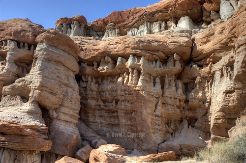 desert redrock redrockcanyon stateparks strata geology sandstone erosion mojave mojavedesert psa104 chiefbwana