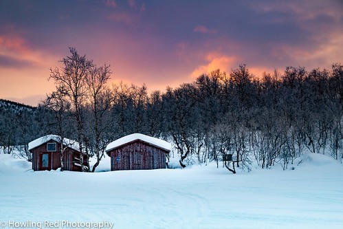 sweden lapland winter cold snow trees sunrise