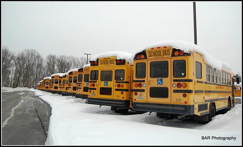 trees bus virginia rearviewmirror flags cranes transportation mirrored rearview schoolbus busses picnik