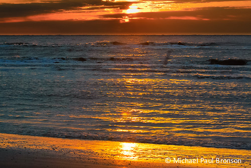 ocean sea sun shells reflection beach gulfofmexico water sunrise sand texas galvestonisland gulfcoast sanluispass sanlouispass
