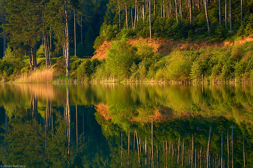 trees lake reflection green season landscape photography landscapes hellas greece moisture kostas waterscapes peloponissos petrakis doksa