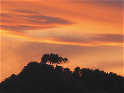 new sunset cloud tree spain andalucia zealand alhaurin duncandarbishire
