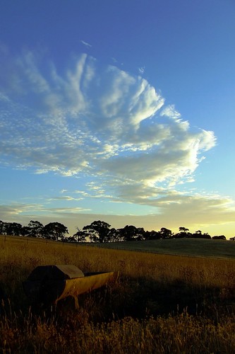 morning summer sky grass yellow clouds sunrise landscape dawn daniel hills ranges adelaide treeline southaustralia sunup trough bugle wistow paddocks adelaidehills tindale bugleranges danieltindale