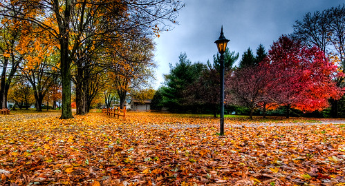autumn fall colors leaves tom nikon d300 sigma1020