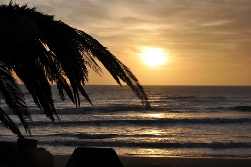 sunset sea tramonto mare palm palma sicilia kartibubbo granitola