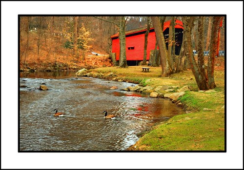 bridge animal creek photoshop geese nikon pennsylvania pa coveredbridge crumcreek newtownsquare d90 dcsaint nikond90 bartramcoveredbridge