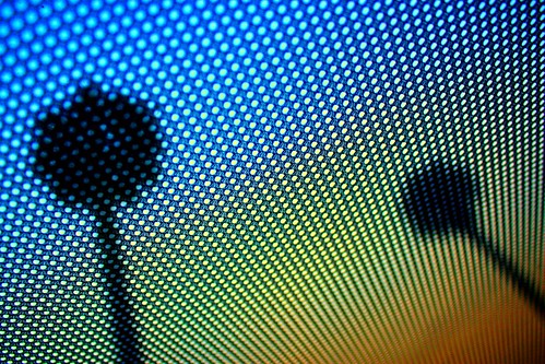 california ca camera blue trees sunset sky orange black texture cali digital canon rebel flickr mesh twin palm palmtrees socal 1855mm southerncalifornia dslr vc venturacounty xsi oxnard southerncali twinpalms tonyo 450d