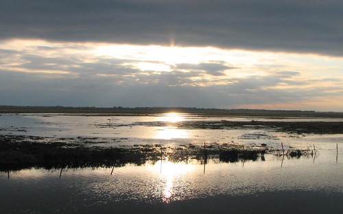 sky sun reflection water clouds florida wetlands