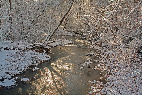 trees sunlight snow creek nc shadows northcarolina hdr naturephotography howardscreek lincolncounty davidhopkinsphotography ncpedia