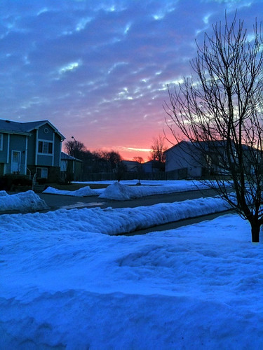 cameraphone winter sky sun snow tree clouds yard sunrise