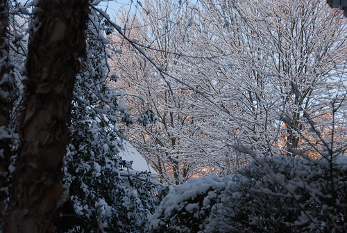 trees atlanta winter sky snow storm ga nikon scenery snowstorm lawrenceville 2010 atlantaga winterstorm gwinnettcounty gwinnett lawrencevillega d40x snowinatlanta gwinnettcountyga 2010snow snowinatlantaga 2010atlantasnow georgiascenery