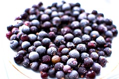 The Black Currant Berry