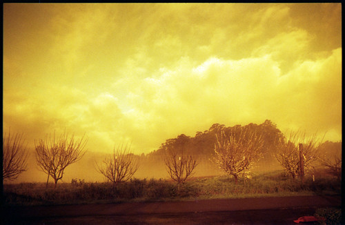 road trees cloud dusty film 35mm pentax farm fnd lane sebastopol mesuper furlong redscale
