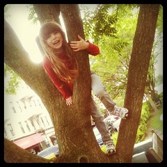Up a Tree