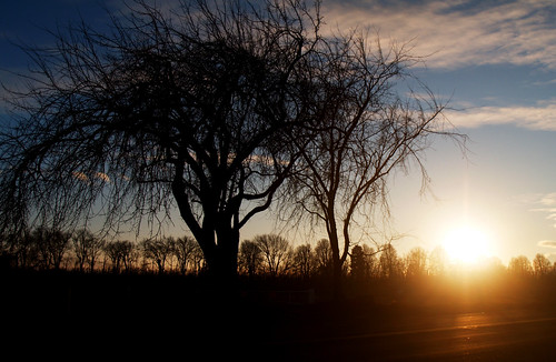 sunset orchard yakima
