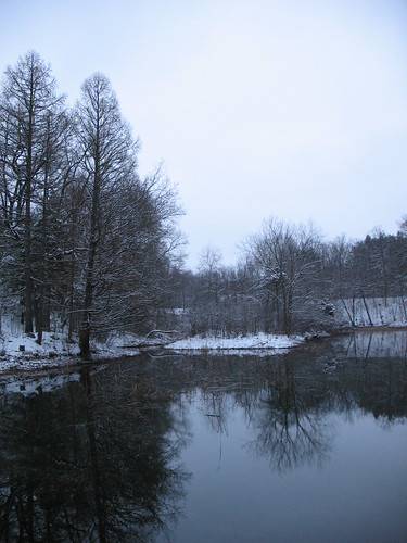 trees winter snow reflection water mi geotagged pond michigan tamaracksprings