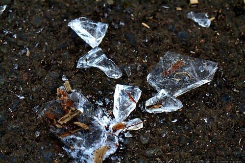 ice, chipped from a frozen puddle at hallinan elementary school    MG 2573