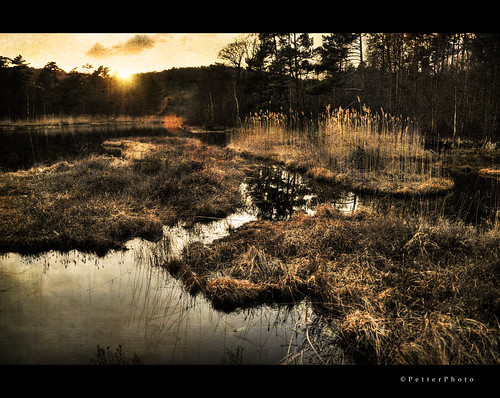 sunset lake texture forest landscape pond nikon scenery small straw nikkor 18200 hdr kristiansand lian strømme korsvik d300s randesund petterphoto liantjønn