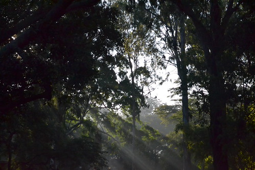 nature bangalore sunraise lalbaghbotanicalgarden barandur flickrandroidapp:filter=none