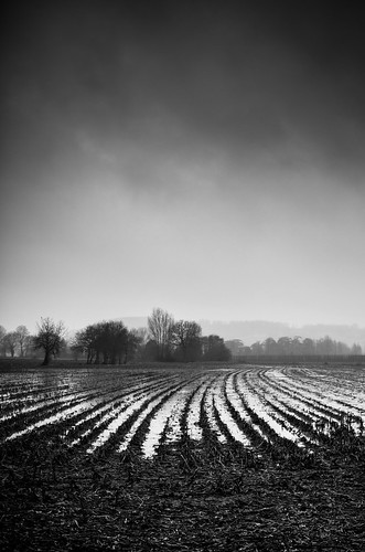bw white black water rain landscape wind delphineroux delphinerouxphotographie