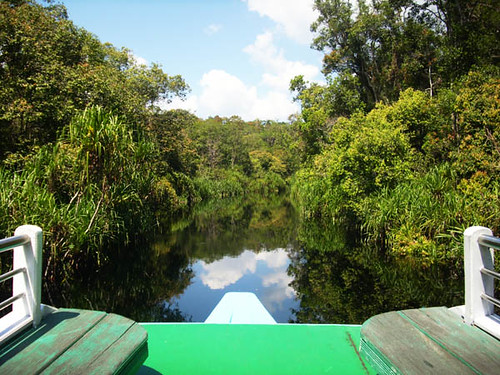 On The River To Camp Leakey, Tanjung Puting National Park