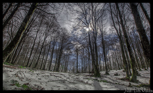 photoshop canon landscape nieve natura euskalherria paisvasco araba lightroom sarria sigma1020 paisages zuia burbona