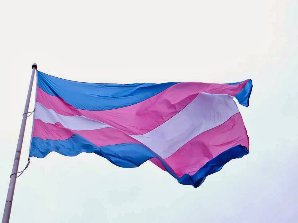 Bandeira da luta trans