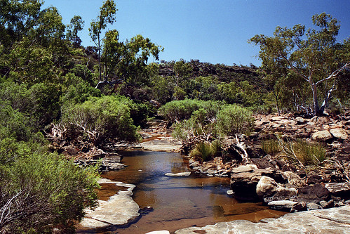 downunder kalbarrinationalpark westernaustralia outback olympusmju2 nationalpark 1000 30fav