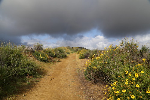 2017 california flower hike simivalley