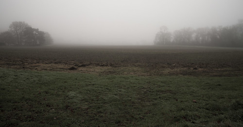 ruscombe winter mist fog bleak field farmland rural outdoor landscape