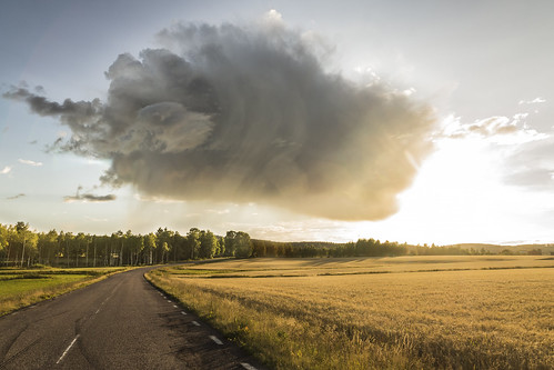 road sunset cloud sweden dalarna couds unfriendly åker asfalt najs unfriendky åkr