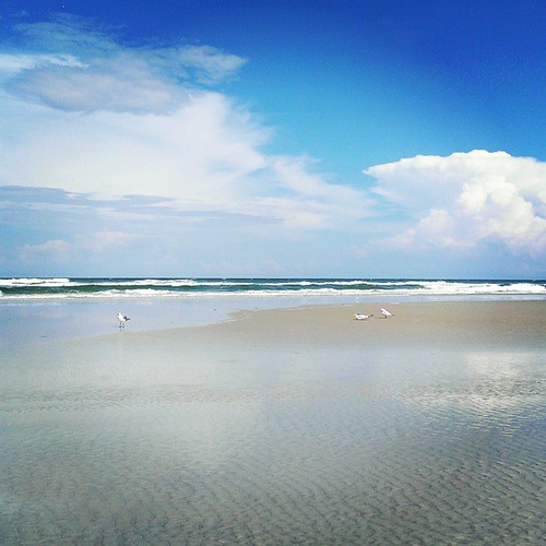 square florida lofi smartphone squareformat android newsmyrnabeach htc floridabeaches beachpictures iphoneography androidography instagram instagramapp uploaded:by=instagram htcevo4glte instaflorida foursquare:venue=517bfc0c498e0a55f7673964 htcevo4gltesmartphone