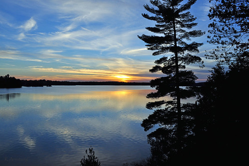 trees sunset lake ontario water silhouette magichour goldenhour deerlake canadianshield