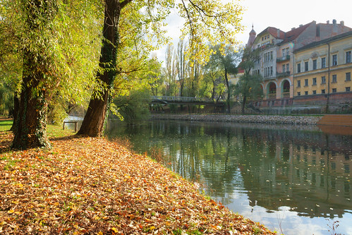 autumn trees reflection leaves architecture buildings landscape raw oradea photodujour tonemapped romania2013
