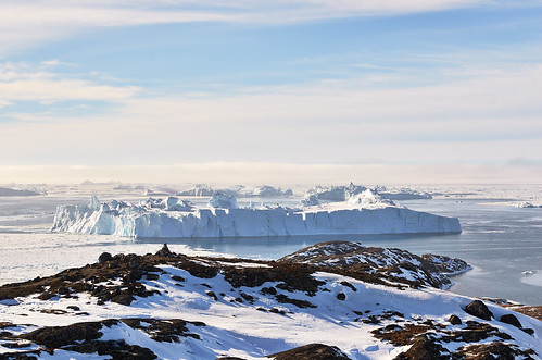 greenland icebergs grønland isbjerge