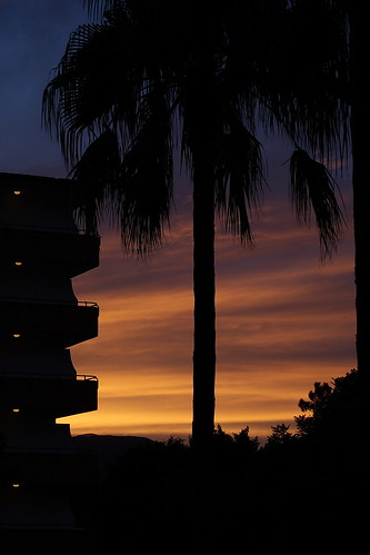 sunset holiday hotel spain palm eden mallorca ferie spanien solnedgang alcudia allsun allsunhoteledenalcidia