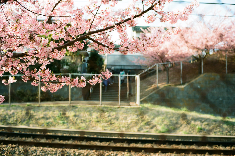 Platto Misaki(Kanagawa) 8,March