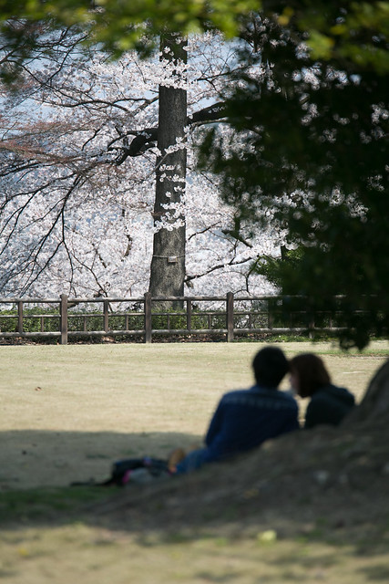 金沢城公園の春