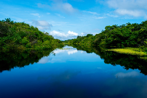 river riverscape rionegro nature landscape water blue reflection amazonforest amazonrainforest amazonia floresta florestainundada florestaamazônica ngc