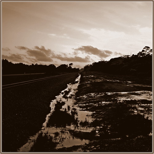fuji fujifilmx100 x100 landscape water trees sunset sky clouds evening albany greatsouthern railways monochrome winter square squareformat bsquare squareaustralia beachesandlandscapes beacheslandscapes