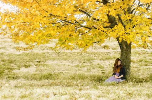 autumn portrait woman selfportrait fall nature field yellow lady 50mm nikon sitting dress bright vibrant longhair thoughtful pensive mapletree awkward redhair curlyhair cardigan mothernature selfie 4052 guesteditor sittingunderatree girlundertree 52project d7000 52weeksofphotography 2013inphotos workingwithanaudience