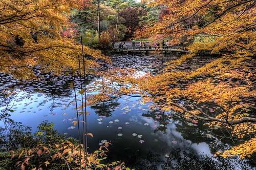 autumn fall japan kobe 紅葉 redleaves