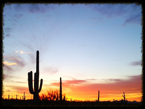 sunset vacation arizona cactus usa night one desert tuscon dusk western wildwest iphone