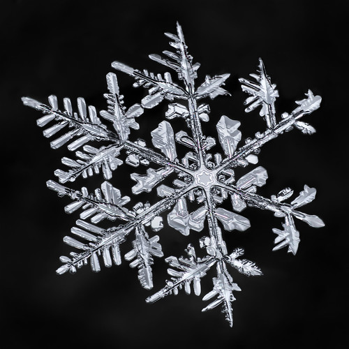 snowflake snow flake ice crystal nature fractal physics asymmetry sky focusstacking diffraction dendrite branches winter