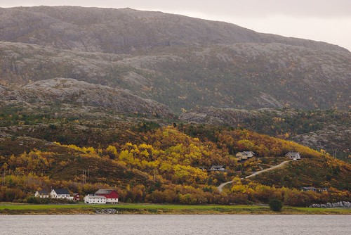autumn trees norway norge scandinavia hurtigruten