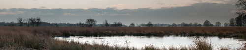 panorama other nederland drenthe zonsopkomst bargerveen klazienaveen