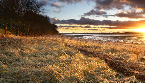 uk sunset england beach grass clouds river landscape golden wind shore orwell felixstowe goldenhour trimley