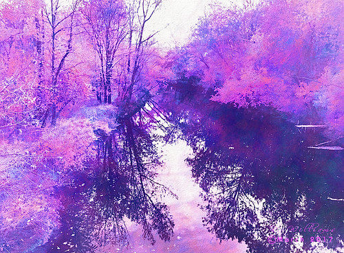 blossom etehreal spring watercolor pastel threes water digitalpainting iphone iphone5s photograph landscape waterscape