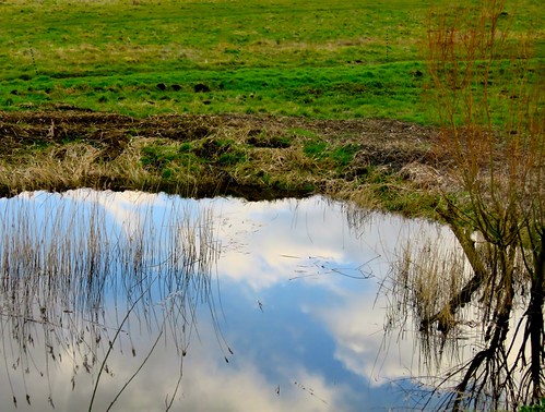 landscape nature norfolk reflection water welneywashes